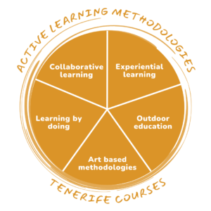 Active learning techniques