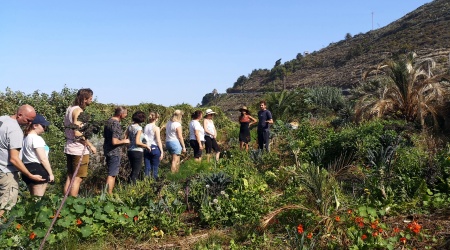 Innovative approaches to environmental education